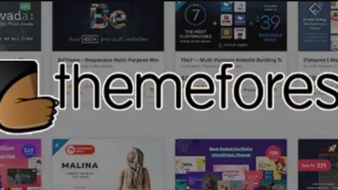 Themeforest