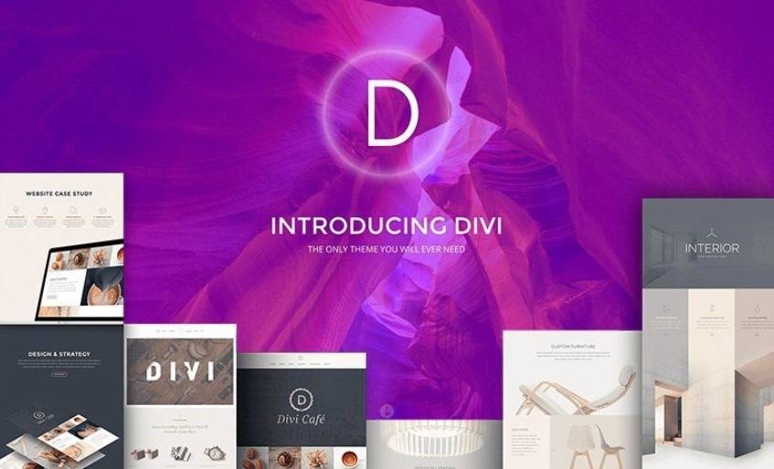 Best multipurpose wordpress theme is Divi